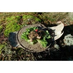 Kupilka Kaarna M - Planche à Découper-Original (Marron) -Camping Fournitures Boutique kupilka kaarna m planche a decouper original marron 2